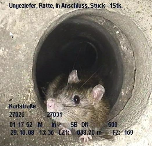 Begegnung bei TV-Untersuchung